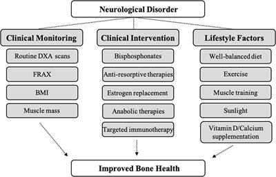 Effects of Neurological Disorders on Bone Health